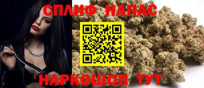 трава Ставрополь
